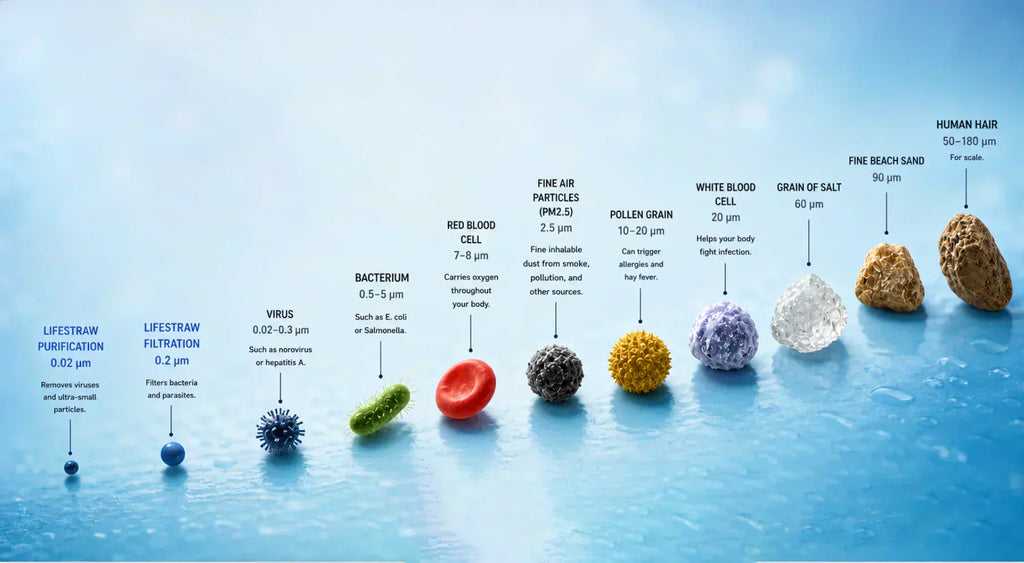 The Science Behind FllexiBott's 2-Stage Filtration